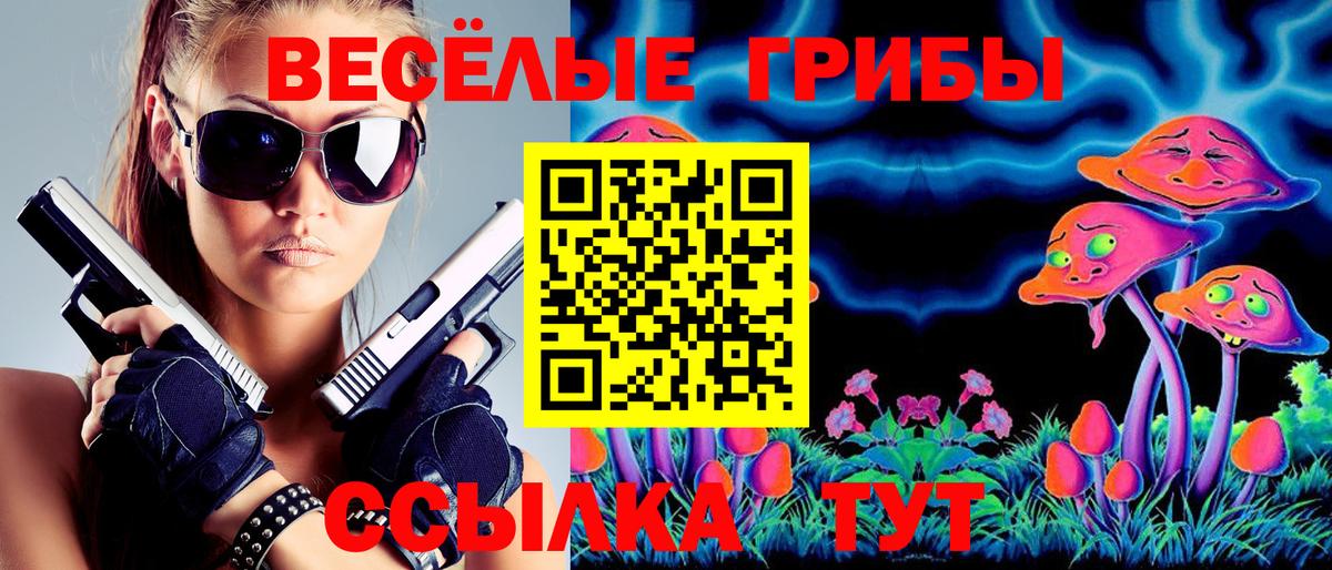 Псилоцибиновые грибы GOLDEN TEACHER  Вход с VPN  Галлюциногенные грибы Cubensis  Гай 