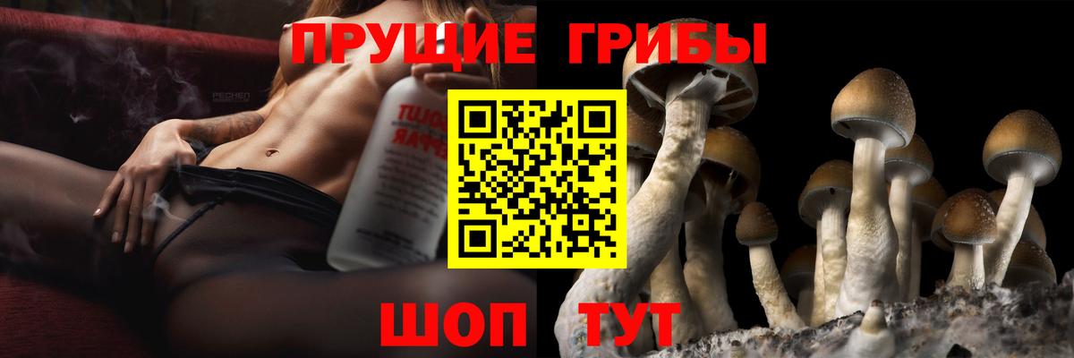 Галлюциногенные грибы Magic Shrooms Гай