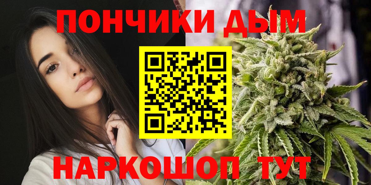 Бошки марихуана сатива Гай
